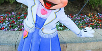 年パスが欲しくなってきた！| キャステル | CASTEL ディズニー情報