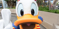 SNSは要注意！| キャステル | CASTEL ディズニー情報