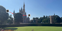 視界を遮るシンデレラ城前の木や塔| キャステル | CASTEL ディズニー情報