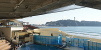 新江ノ島水族館（えのすい）：ショー| キャステル | CASTEL ディズニー情報