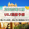 キャステル ユニバ2025年1月混雑予想！空いている日・混んでいる日はいつ？お正月&冬休みのUSJの混雑は？