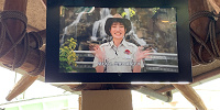 ジュラシックパーク・ザ・ライドの映像が新しくなった！| キャステル | CASTEL ディズニー情報