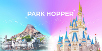 1デーパークホッパーパスポート| キャステル | CASTEL ディズニー情報