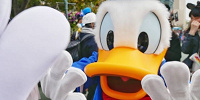ドナルドとのフリグリ| キャステル | CASTEL ディズニー情報