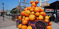 2025年のディズニーシーのハロウィンデコレーション| キャステル | CASTEL ディズニー情報