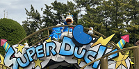 予想②ドナルド| キャステル | CASTEL ディズニー情報