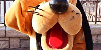 プルート| キャステル | CASTEL ディズニー情報