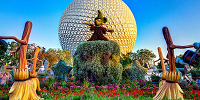 ディズニランドでも出会うことのあるソーサラーミッキー| キャステル | CASTEL ディズニー情報