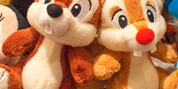 ぬいばセット| キャステル | CASTEL ディズニー情報
