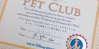 ペットクラブで貰える賞状| キャステル | CASTEL ディズニー情報