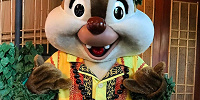 アロハ姿のデール| キャステル | CASTEL ディズニー情報