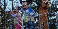 ミッキー・ミニー・プルート| キャステル | CASTEL ディズニー情報