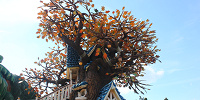 ツリーハウス部分| キャステル | CASTEL ディズニー情報