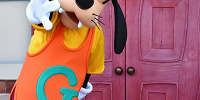 グーフィーのプロフィール| キャステル | CASTEL ディズニー情報