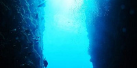 ネモ船長の知られざる過去とは？| キャステル | CASTEL ディズニー情報