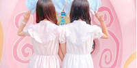 ダンボ| キャステル | CASTEL ディズニー情報