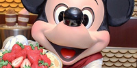 朝食がおいしいホテルは？| キャステル | CASTEL ディズニー情報