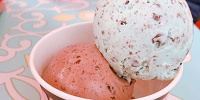 アイスクリーム＆フローズンデザート| キャステル | CASTEL ディズニー情報