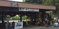 プールで遊び疲れても西ゲートならすぐ車に戻れる| キャステル | CASTEL ディズニー情報