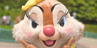 クラリス| キャステル | CASTEL ディズニー情報