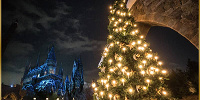 ホグズミート村のクリスマスツリー| キャステル | CASTEL ディズニー情報