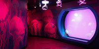「クラゲの海」| キャステル | CASTEL ディズニー情報