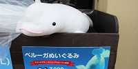笑っているような口元がかわいいベルーガのぬいぐるみ| キャステル | CASTEL ディズニー情報
