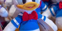 ドナルドのポージープラッシー（ぬいぐるみ）| キャステル | CASTEL ディズニー情報