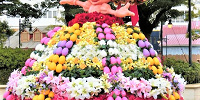 花であふれるディズニーリゾート| キャステル | CASTEL ディズニー情報