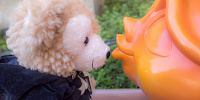ダッフィー| キャステル | CASTEL ディズニー情報
