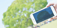 スマフォでの撮影も上手い！| キャステル | CASTEL ディズニー情報