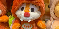 デール干支コスチューム（亥）ぬいぐるみ| キャステル | CASTEL ディズニー情報