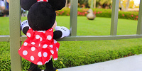 写真を撮って楽しもう！| キャステル | CASTEL ディズニー情報