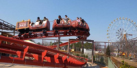 ディギーとダギーのトロッココースター| キャステル | CASTEL ディズニー情報