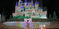 「グリムの森」のイルミネーション| キャステル | CASTEL ディズニー情報