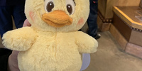 うさピヨパスケース| キャステル | CASTEL ディズニー情報