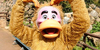 何匹かで行動していることが多い| キャステル | CASTEL ディズニー情報