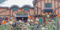ディズニーチケットは事前購入がおすすめ| キャステル | CASTEL ディズニー情報