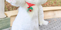 グリーティングでのマリー| キャステル | CASTEL ディズニー情報