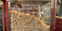 東京ディズニーランド「キャラメル」味ポップコーンワゴン| キャステル | CASTEL ディズニー情報