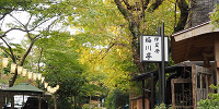 上野公園の紅葉はとっても綺麗ですよ！| キャステル | CASTEL ディズニー情報