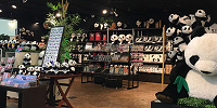 6頭のジャイアントパンダに会える！| キャステル | CASTEL ディズニー情報