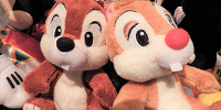 チップ デール| キャステル | CASTEL ディズニー情報