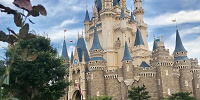 ディズニー年パスを持っているとできること⑤| キャステル | CASTEL ディズニー情報