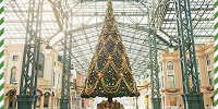 ディズニーランドのクリスマスツリー＆デコレーション| キャステル | CASTEL ディズニー情報