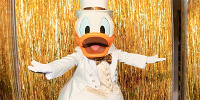 写真（ドナルド）| キャステル | CASTEL ディズニー情報