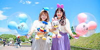 ドナルドとデイジーコーデ| キャステル | CASTEL ディズニー情報
