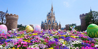 お花であふれるシンデレラ城| キャステル | CASTEL ディズニー情報