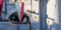 カリフォルニア・ディズニーランド・リゾートにて撮影| キャステル | CASTEL ディズニー情報