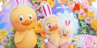 乳幼児向けプラン| キャステル | CASTEL ディズニー情報